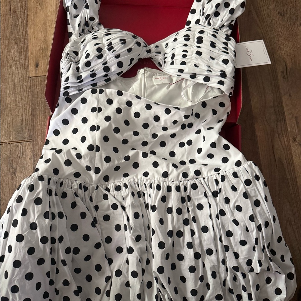 Chic Polka Dot Dress